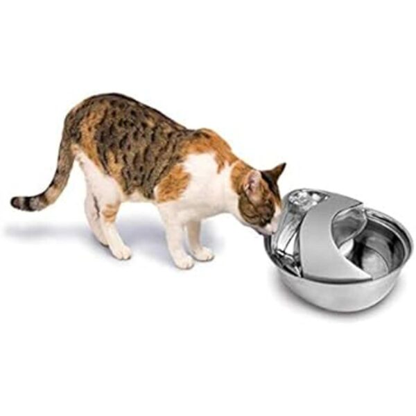 Bebedero para mascotas de acero inoxidable de Pioneer_2