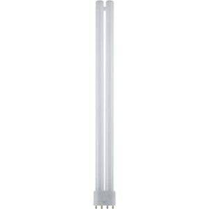 Sunlite FT36DL841 Bombillas fluorescentes compactas de_1
