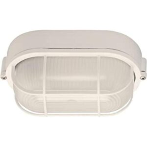 Canarm IOL16WH The Outdoor Lámpara exterior con globo de_1