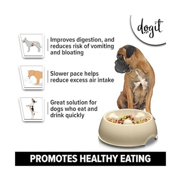 Dogit Comedero lento para perros para alimentos húmedos o