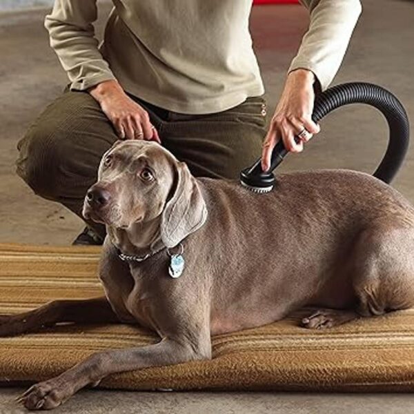 ShopVac 9190400 Herramienta de aseo para perros de 1.14