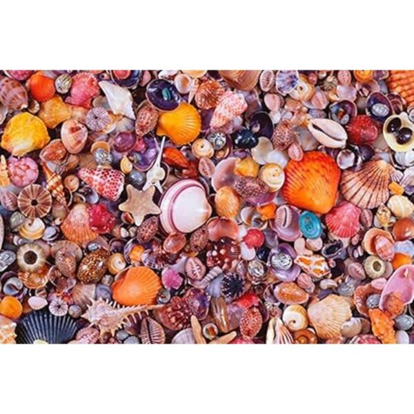 Mar Conchas puzzle de 1000 piezas_3