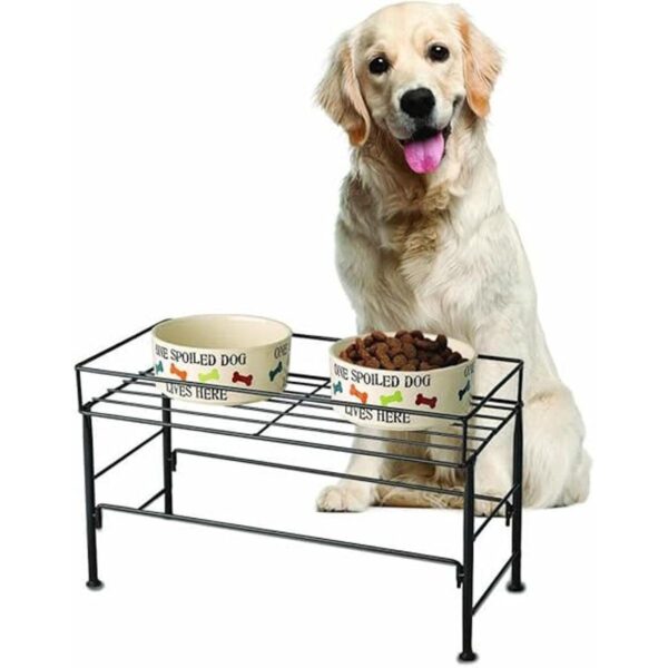 Juego de mesa de comedor elevada para mascotas