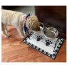 Juego de mesa de comedor elevada para mascotas