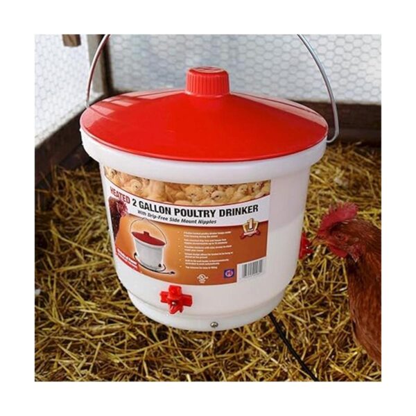 Farm Innovators HB60P Bebedor de aves de corral con_5