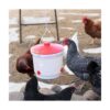 Farm Innovators HB60P Bebedor de aves de corral con_3