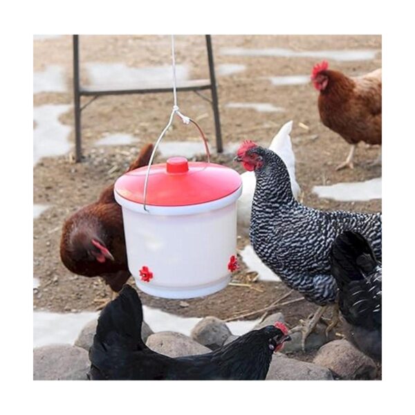 Farm Innovators HB60P Bebedor de aves de corral con_3