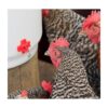 Farm Innovators HB60P Bebedor de aves de corral con_2