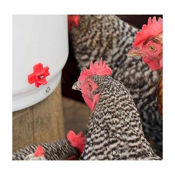 Farm Innovators HB60P Bebedor de aves de corral con_2