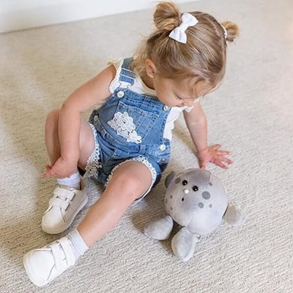 Celestial Buddies Moon Buddy Learning Science Astronomy_5