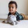 Celestial Buddies Moon Buddy Learning Science Astronomy_6