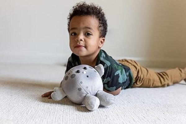 Celestial Buddies Moon Buddy Learning Science Astronomy_6