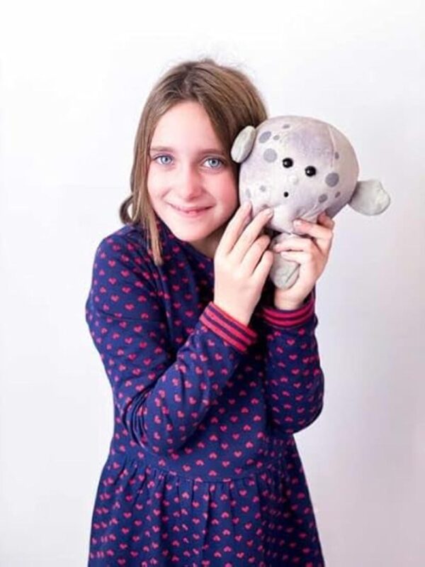 Celestial Buddies Moon Buddy Learning Science Astronomy_4