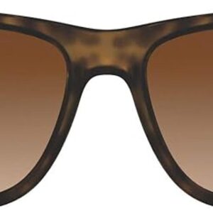 RayBan RB4165 Justin Gafas de sol goma luz habanapoli_1