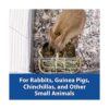 Kaytee Hay Food Bin Feeder_4