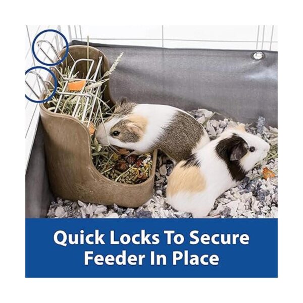 Kaytee Hay Food Bin Feeder_5