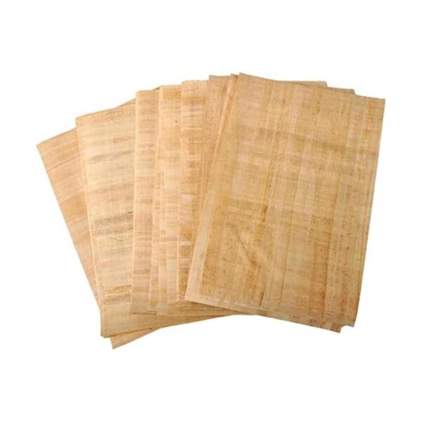 CraftsOfEgypt Juego de 10 papeles de papiro egipcios de 6_2