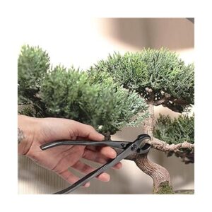 BambooMN Kit de herramientas Bonsái Cortador cóncavo de 8_4