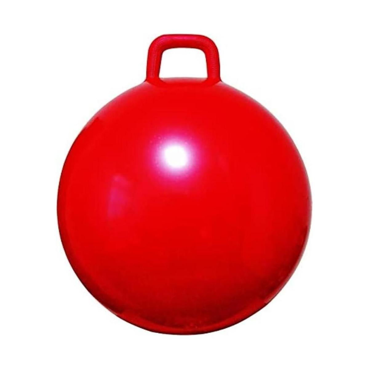Pelota con bomba de aire 20 pulg de diámetro para edades