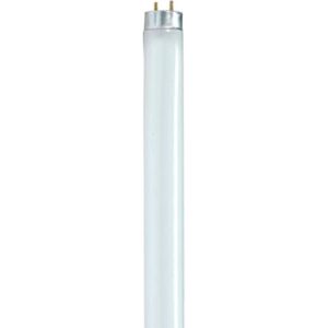 Satco S8404 Lámpara de ahorro de energía de 24.0 in 3000_1