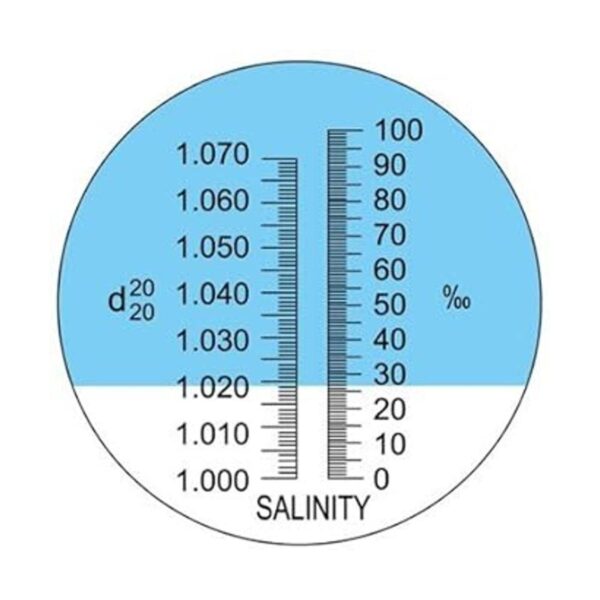 Sal de compensación automática de temperatura agua de mar_2