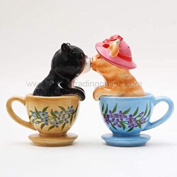 Pacific Giftware ATTRACTIVES Salero y pimentero diseño_1
