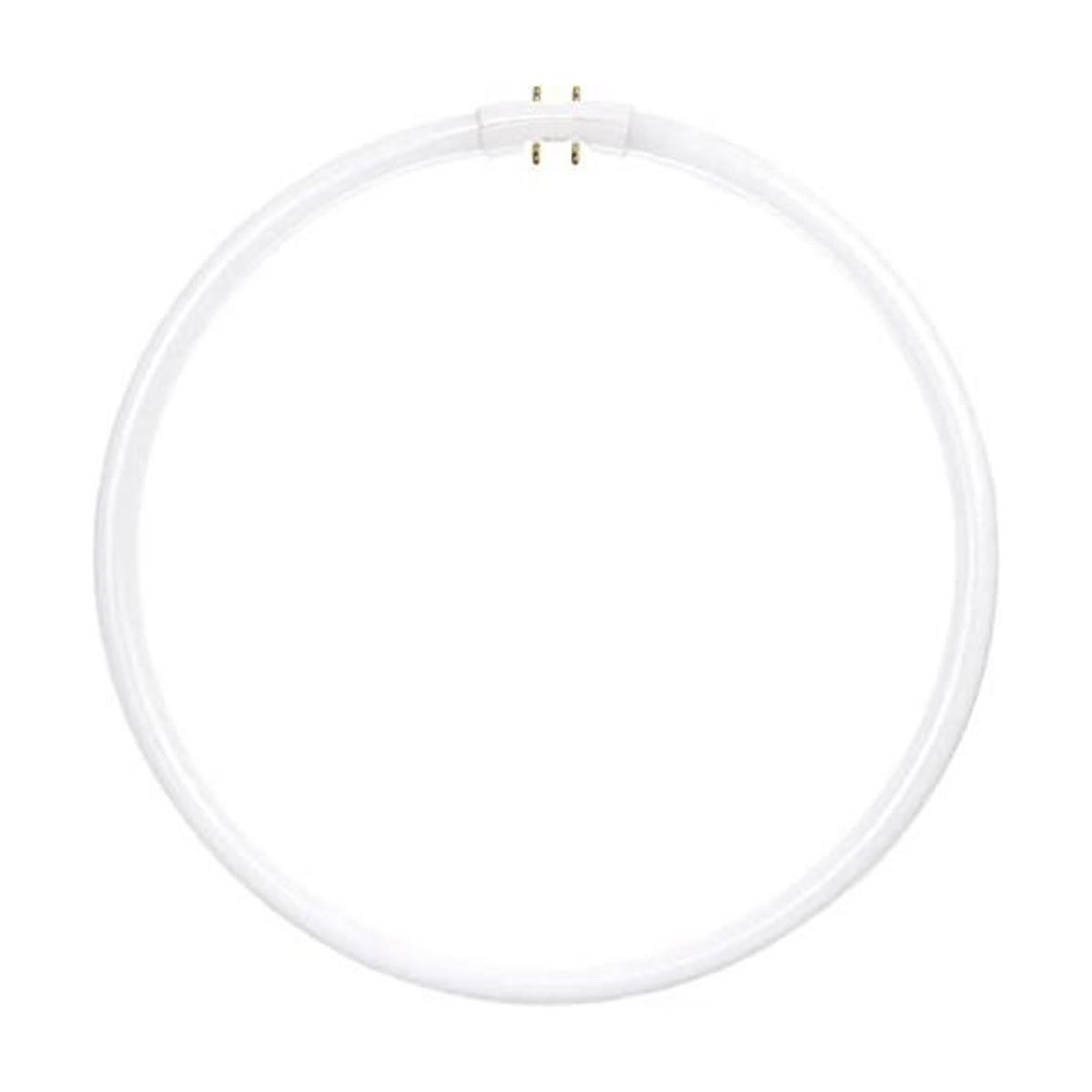 Sunlite FC40T5SP841 Luces de techo fluorescentes de 40 W