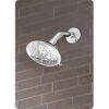 Gerber Danze D460035 Florin Alcachofa de ducha de 5_2