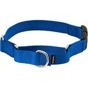 Collar de la martingala de PetSafe Petite con hebilla_1