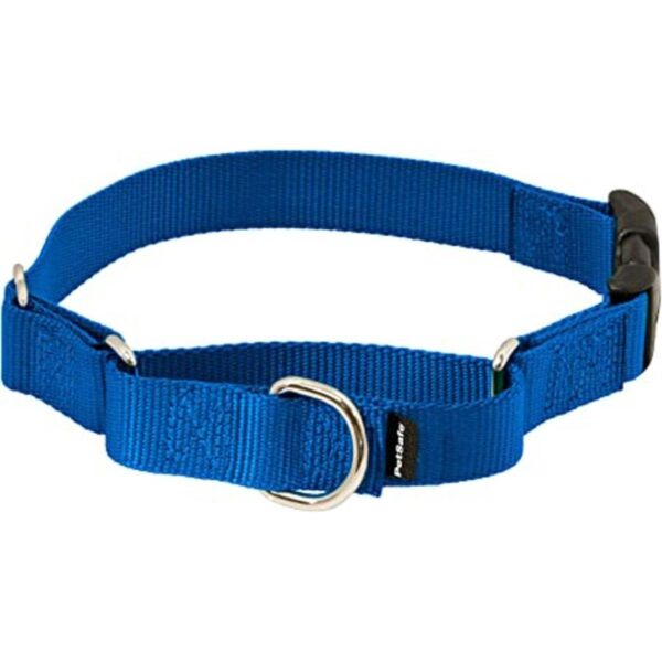 Collar de la martingala de PetSafe Petite con hebilla_1
