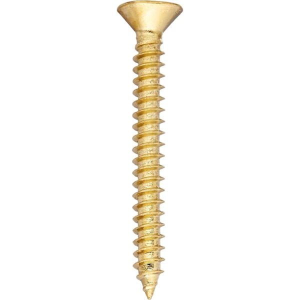 HardtoFind 014973160449 Tornillo de bisagra plana_2