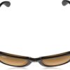 RayBan Gafas de sol con montura de tortuga lentes B15_2