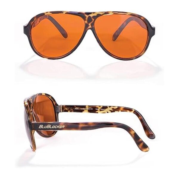DemiTortoise Original Aviator BluBlocker 2725K_2