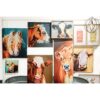 Creative CoOp DA2249 Lienzo decorativo para pared imagen_2