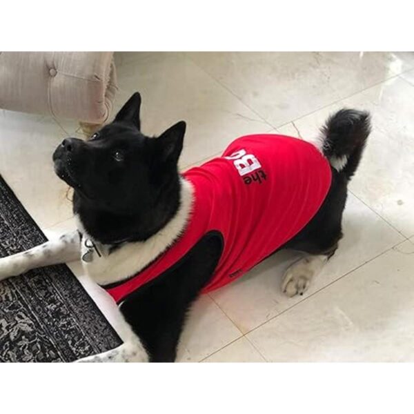 Parisian Pet Dog Cat Clothes Tee Shirts Embroidered TShirt_5