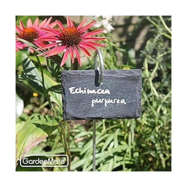 GardenMate Paquete de 10 etiquetas para plantas de_4