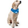 Bandana con hielo refrescante para relajarse de All for