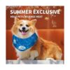 Bandana con hielo refrescante para relajarse de All for
