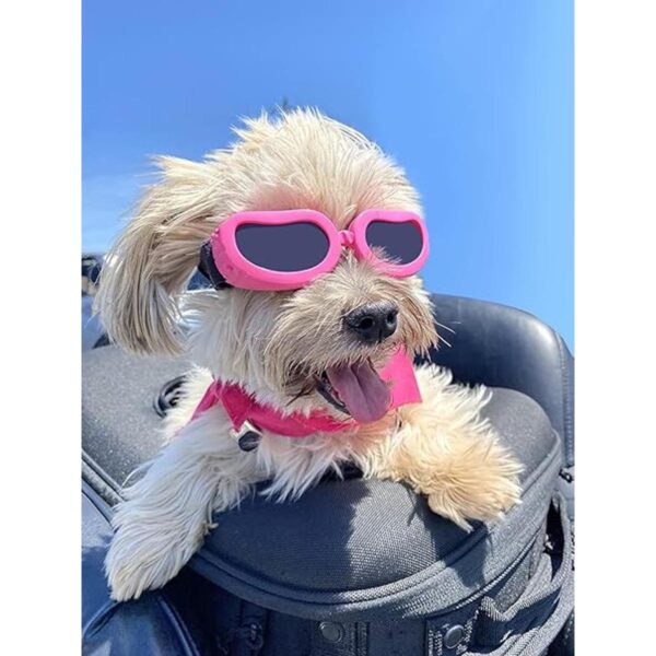 Enjoying Gafas de sol para perros pequeños gafas de sol_1