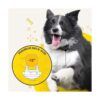 Dogtra iQ Plus Receptor adicional recargable_2