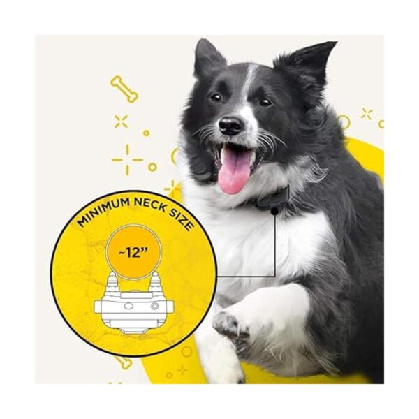 Dogtra iQ Plus Receptor adicional recargable_2