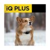 Dogtra iQ Plus Receptor adicional recargable_4
