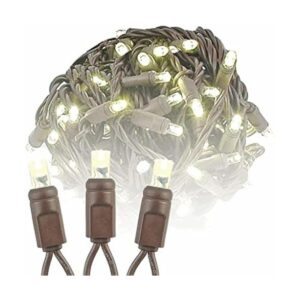 Novelty Lights Cadena de luces LED de Navidad de color_1