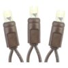 Novelty Lights Cadena de luces LED de Navidad de color_4