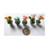Juego de 5 mezclas encantadoras de plantas de flores casa_1
