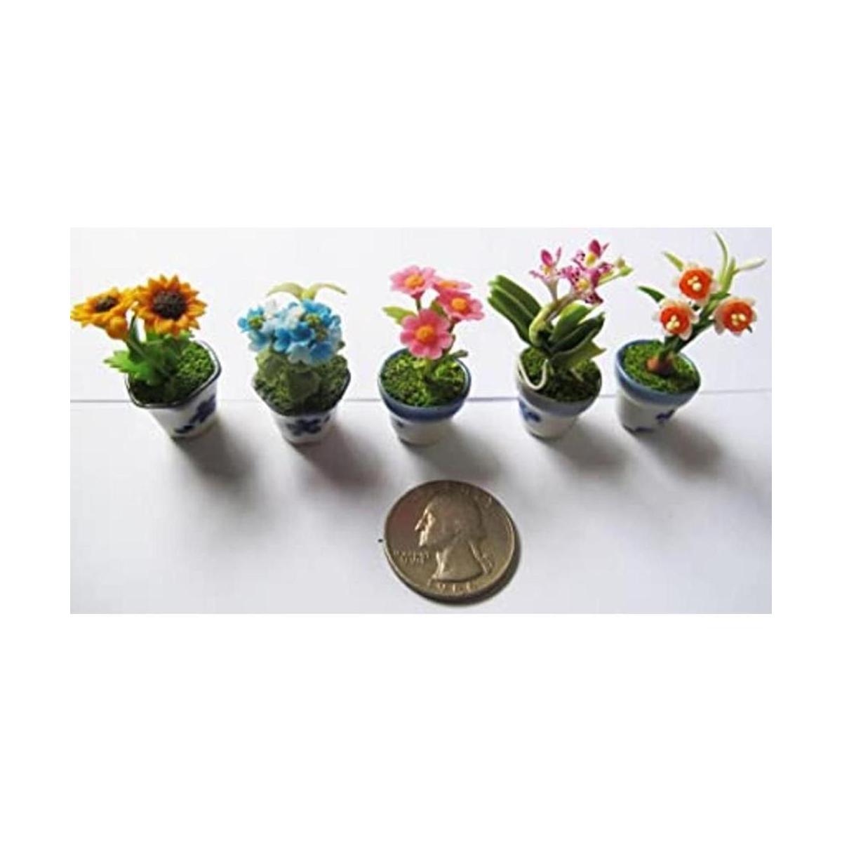 Juego de 5 mezclas encantadoras de plantas de flores casa