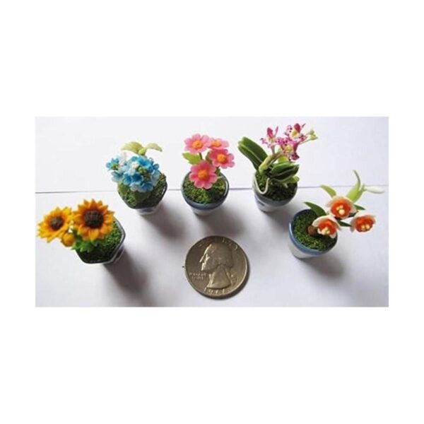 Juego de 5 mezclas encantadoras de plantas de flores casa_2
