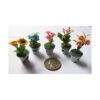 Juego de 5 mezclas encantadoras de plantas de flores casa_3