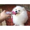 Choco Nose Patented Portable NoDrip Travel Water