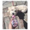 Choco Nose Patented Portable NoDrip Travel Water